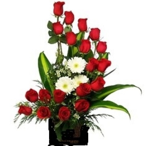 Medium crescent arrangement